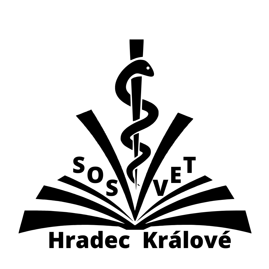 Logo text - černá - Pavlína Malá